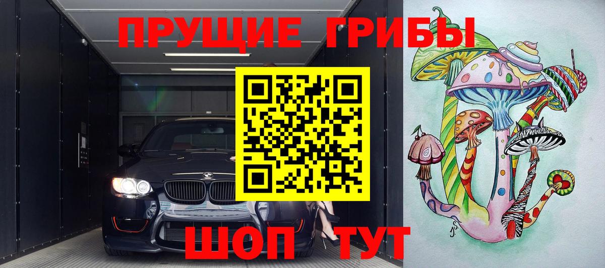 Заинск  Галлюциногенные грибы Psilocybe  Псилоцибиновые грибы прущие грибы  Вход с VPN 